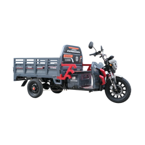 Arora AR10000 Moped