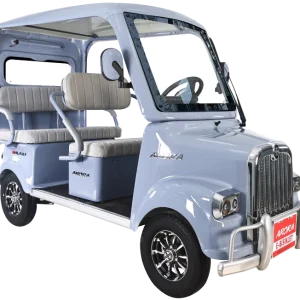 Arora Galaxy