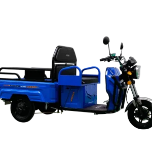 Arora Mini Cargo