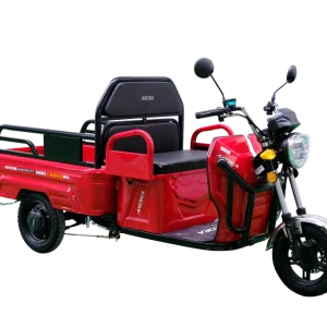 Arora Mini Cargo