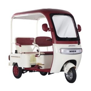 Arora Mini Cargo Pro