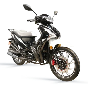 Arora Smart 100