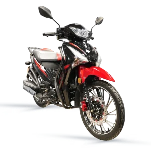 Arora Smart 100