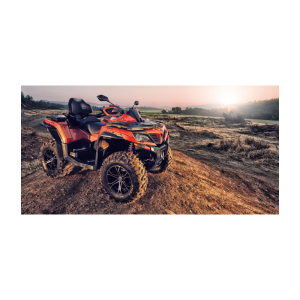 CFMoto CForce 1000